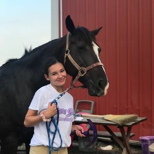 Meet your Posher, Sydney